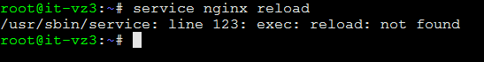 nginx-no-start-restart